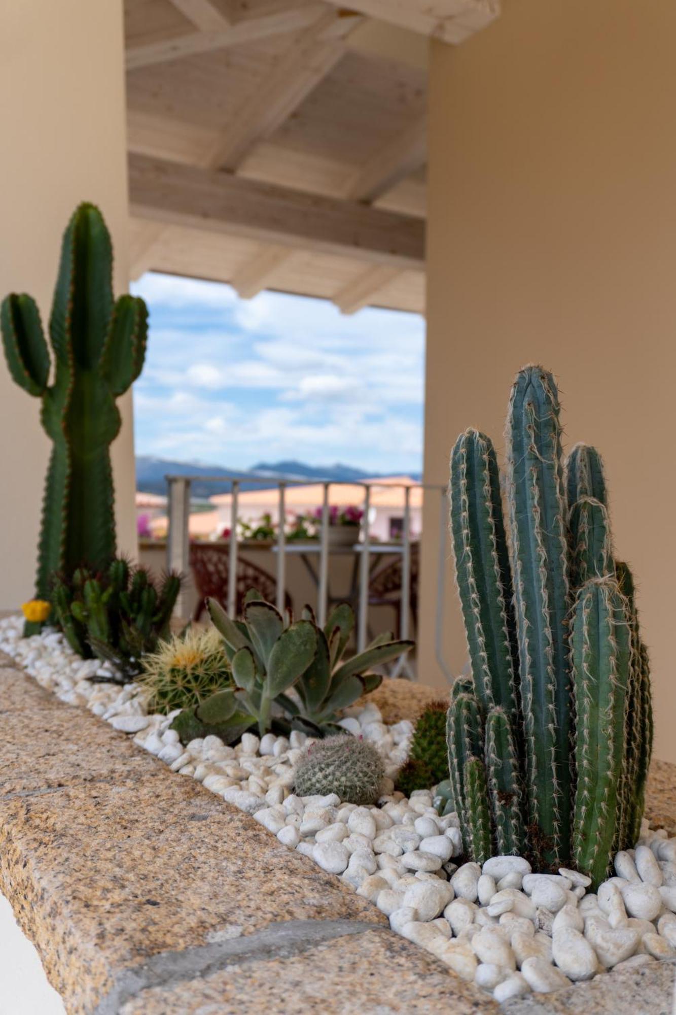 Dicciosu Guest House Budoni Dış mekan fotoğraf