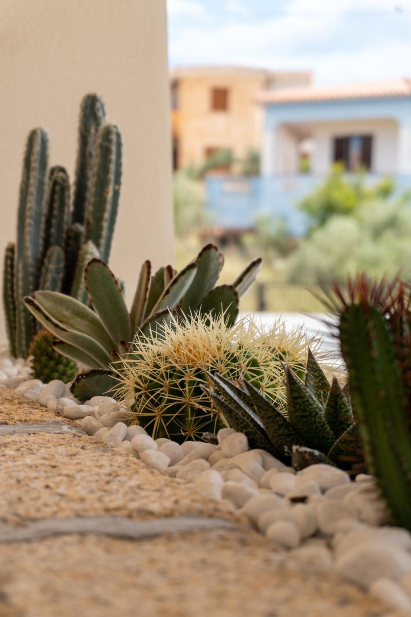 Dicciosu Guest House Budoni Dış mekan fotoğraf